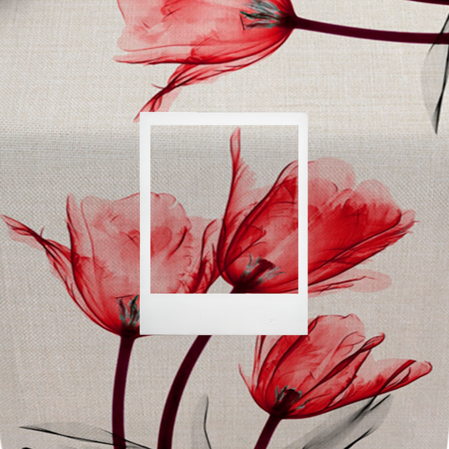 Camino De Mesa De Tulipán Rojo