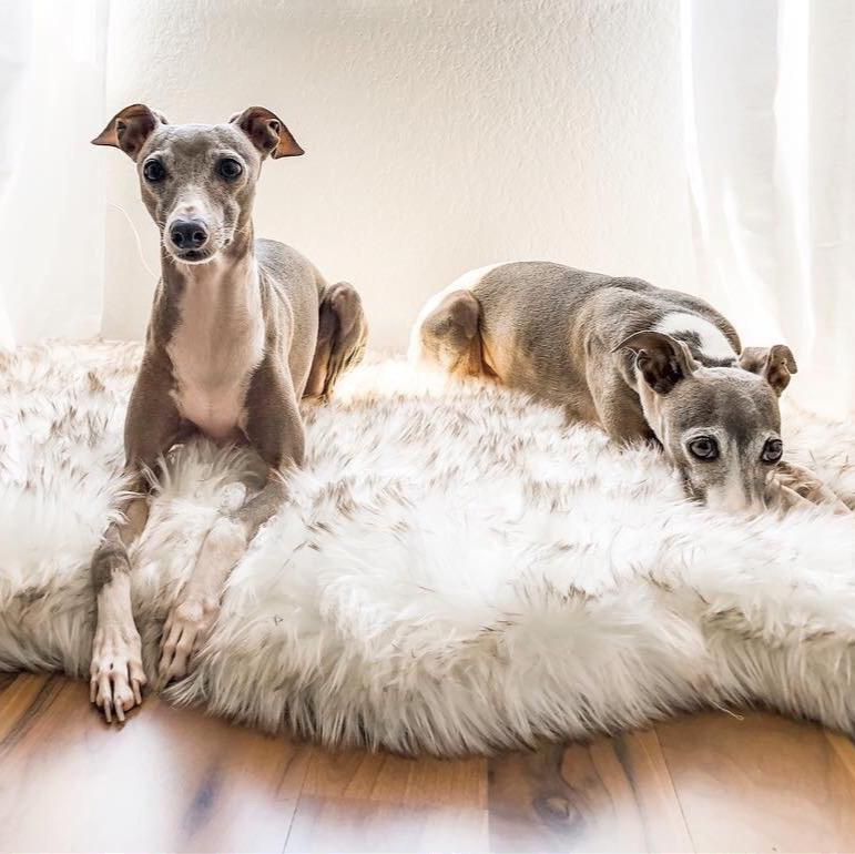 Tappeto in pelliccia sintetica per animali domestici