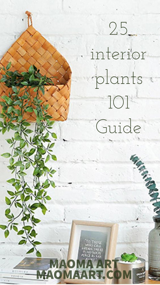 25 Interior Plants 101 Guide And How to Take Care Of Them