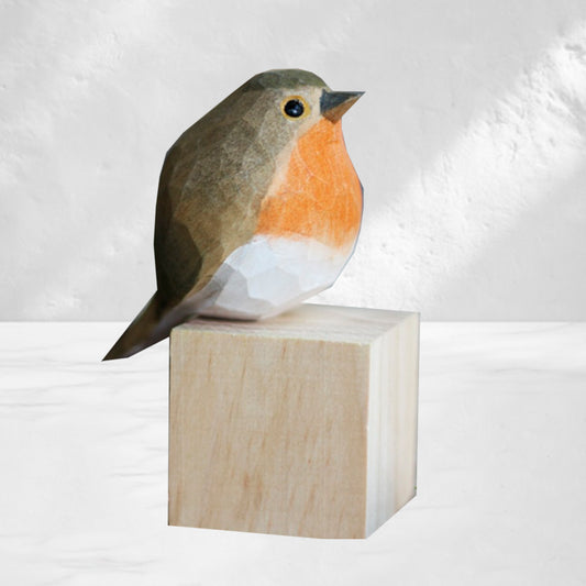Wood Robin Bird