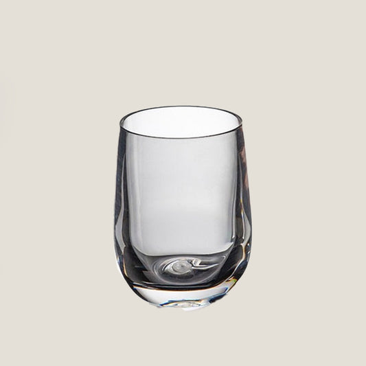 Acrylic Water Glasses Set of 6