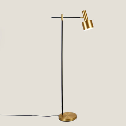 Black Gold Floor Lamp