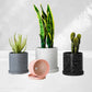 Ceramic Flower Pot With Tray Set