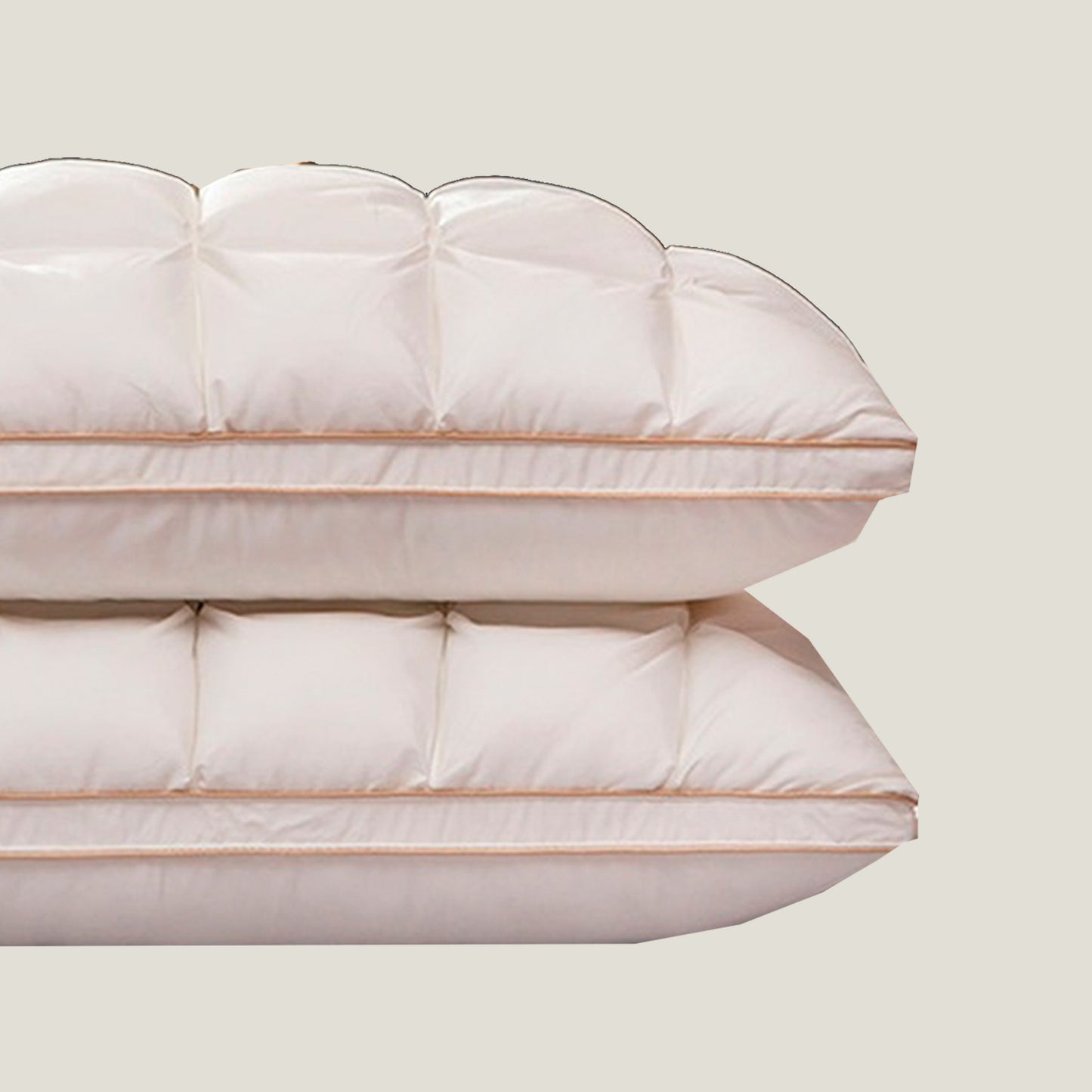 Goose Feather Bed Pillows