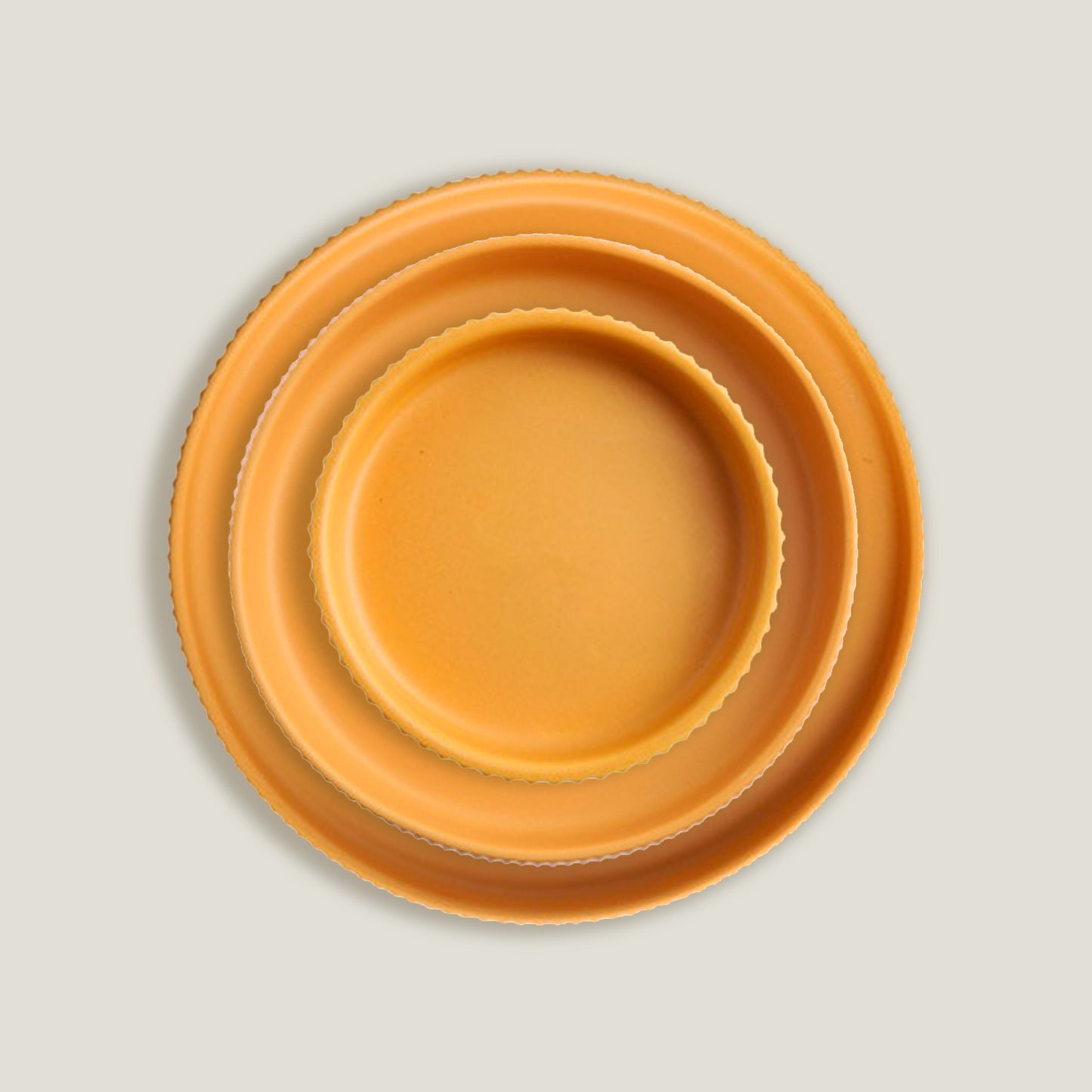Orange Stripe Round Dinner Plates