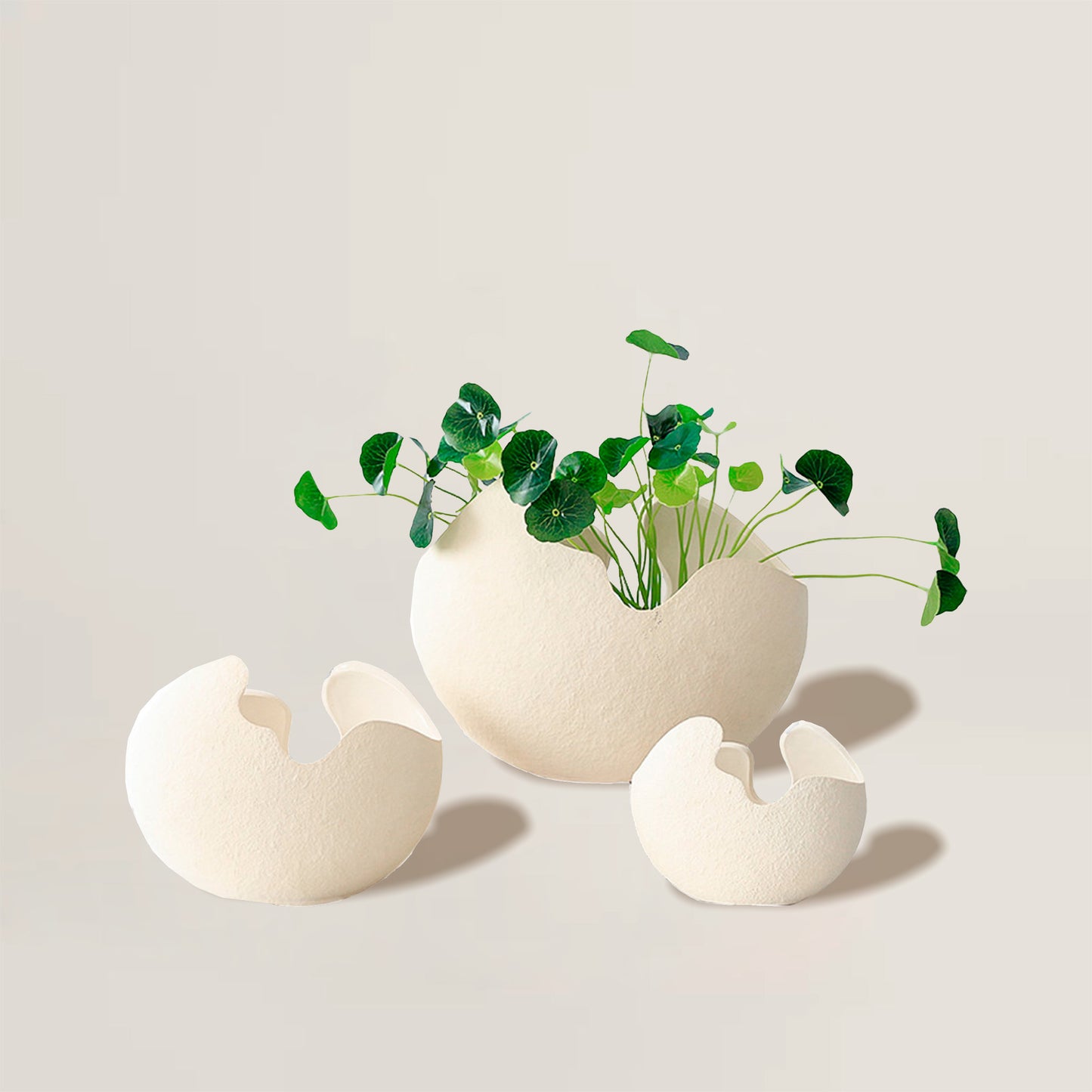 Eggshell Vase