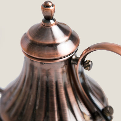 Gooseneck Coffee Pot