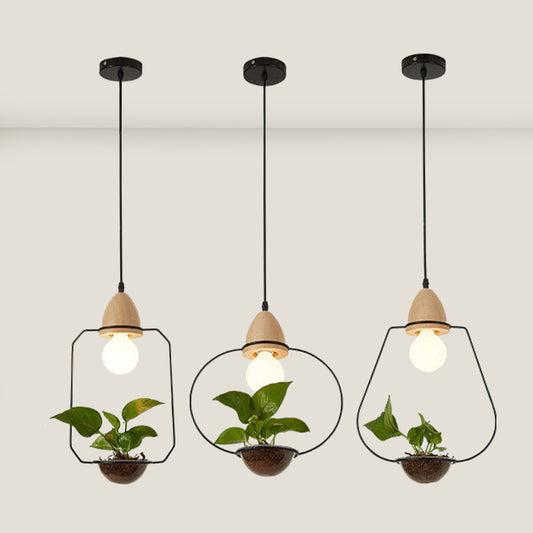 Plant Pendant Light