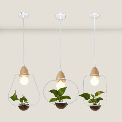 Plant Pendant Light