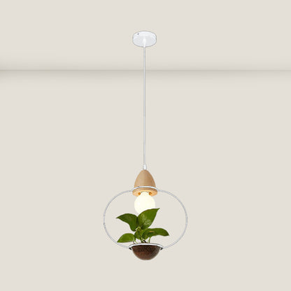 Plant Pendant Light