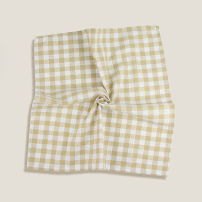 Beige Gingham Plaid Napkin Set