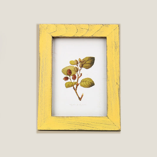 Yellow Wood Frame