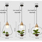 Plant Pendant Light