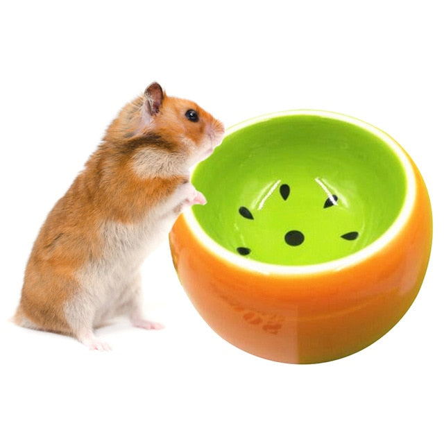 Fruit Pet Bowl