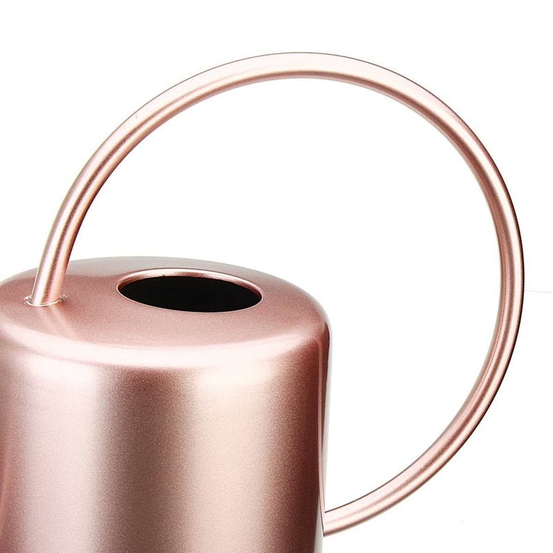 Rose Gold Watering Can