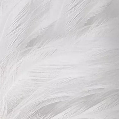 Gray Feathers Wallpaper