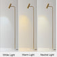 Gold Line Floor Lamp
